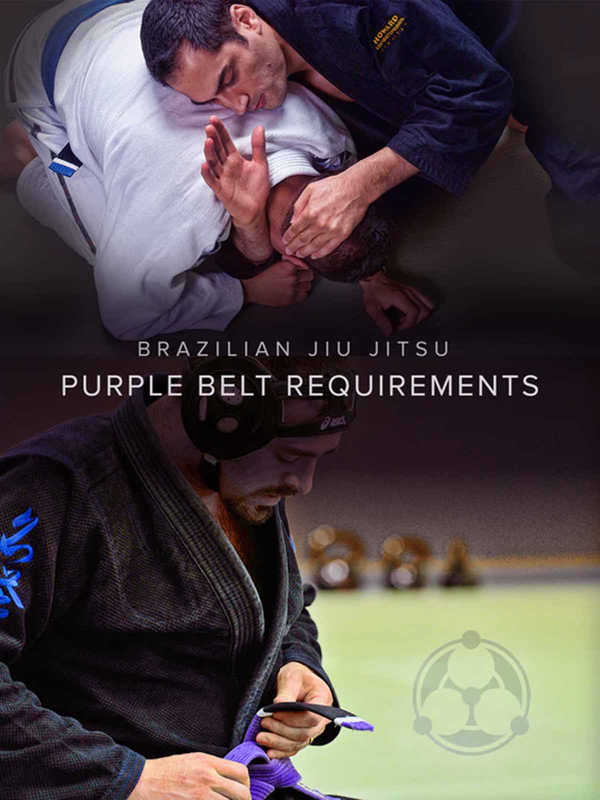 BJJ Purple Belt Requirements - Roy Dean Academy